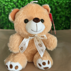 Peluche Osito Cariñoso