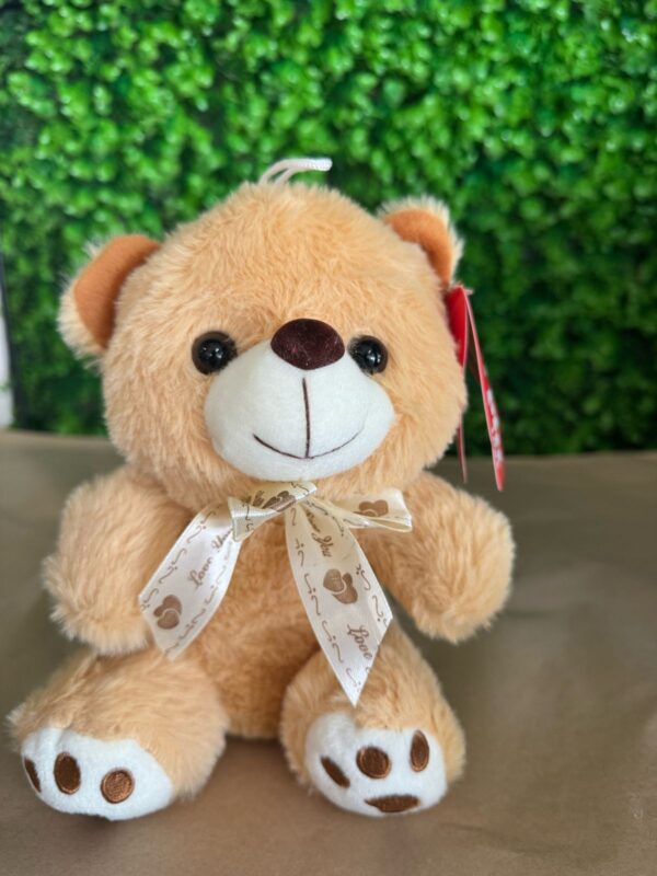 Peluche Osito Cariñoso - Imagen 2
