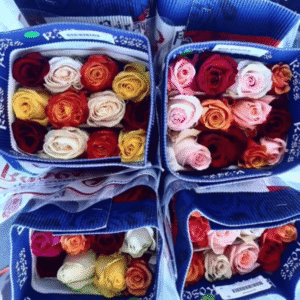 Paquete de rosas