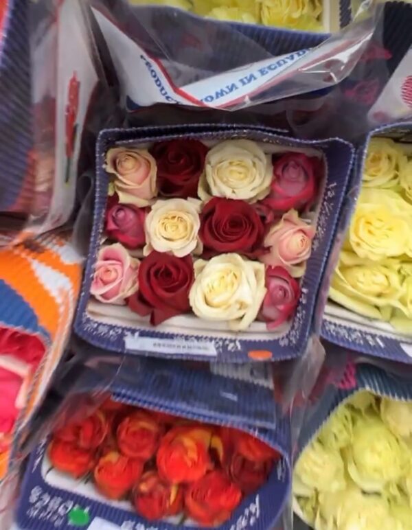 Paquete de rosas - Imagen 6