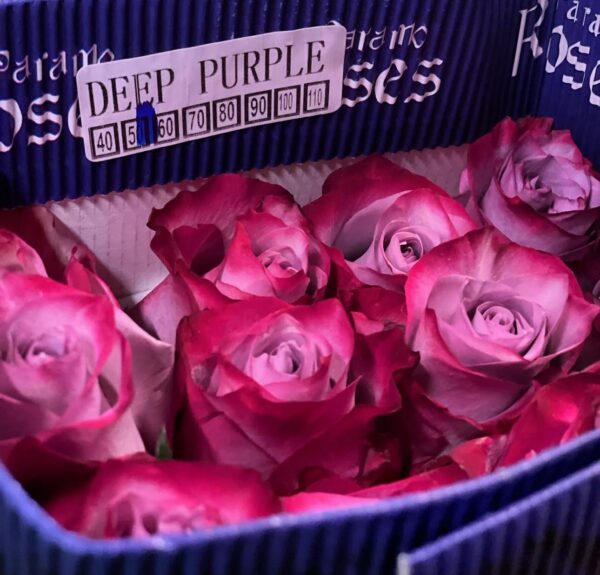 Paquete de rosas - Imagen 7