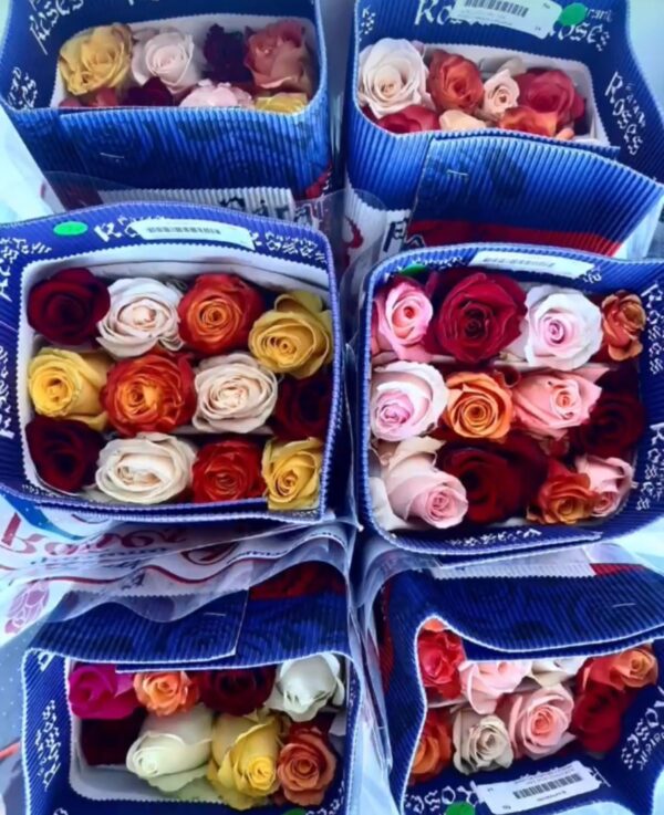 Paquete de rosas - Imagen 3
