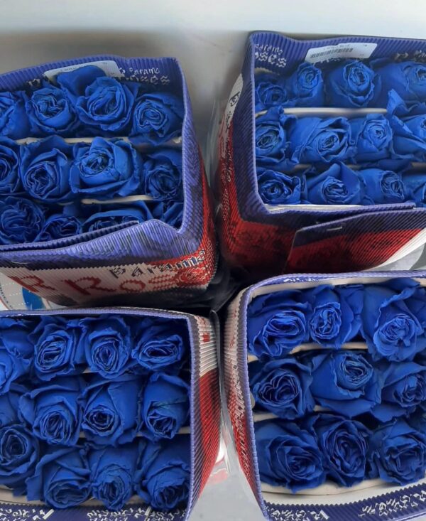 Paquete de rosas - Imagen 5