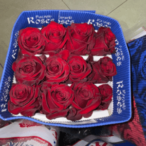 Paquete de 25 rosas