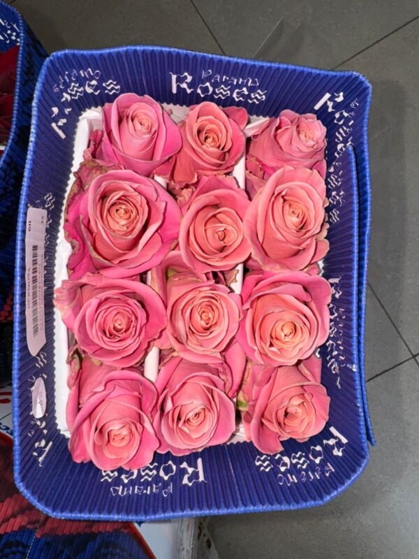 Paquete de 25 rosas - Imagen 4