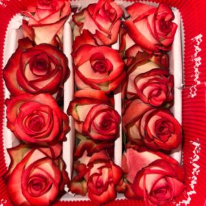 Paquete de 25 Rosas