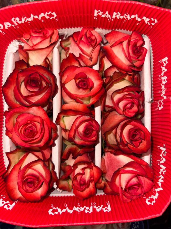 Paquete de 25 Rosas