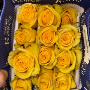 Paquete de 25 Rosas Amarillas