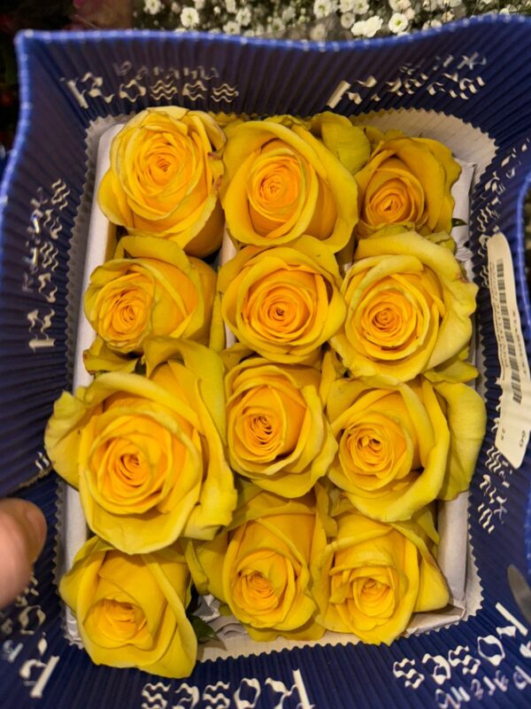 Paquete de 25 Rosas Amarillas